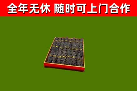 若羌回收海参
